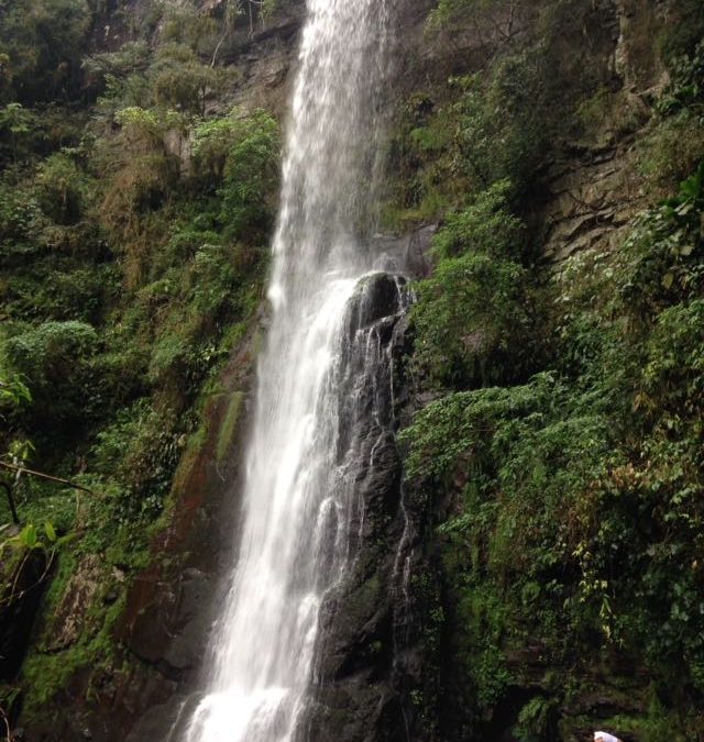 Cachoeira dos Piazza